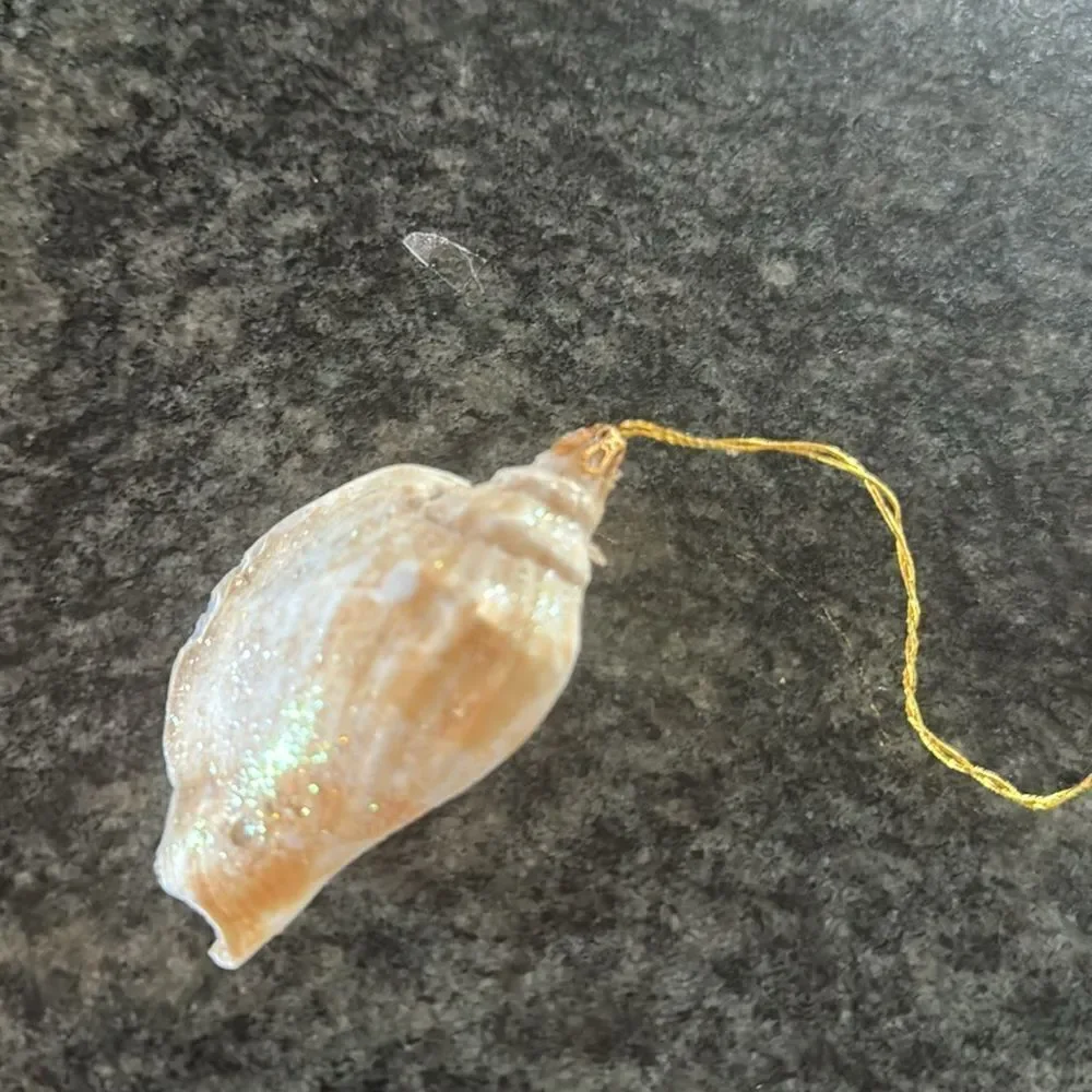 seashell sparkly ornaments  set of 2